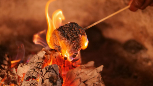 Tips to Mastering Outdoor Cooking: