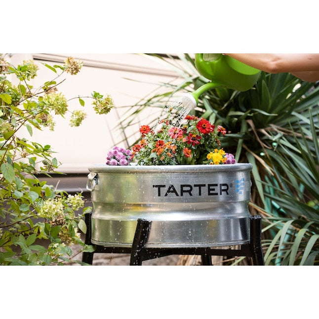 Essential Outdoor Planter Tips for Thriving Plants